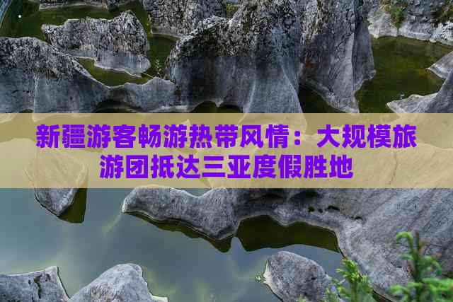 新疆游客畅游热带风情：大规模旅游团抵达三亚度假胜地