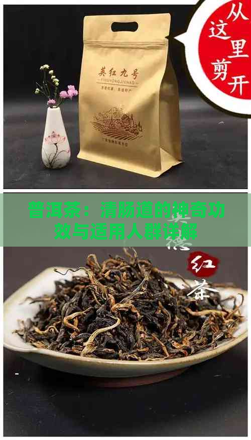 普洱茶：清肠道的神奇功效与适用人群详解