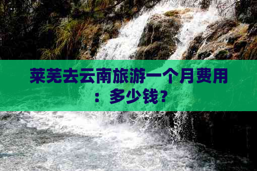 莱芜去云南旅游一个月费用：多少钱？