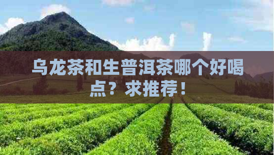 乌龙茶和生普洱茶哪个好喝点？求推荐！