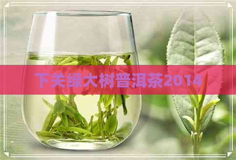 下关绿大树普洱茶2014