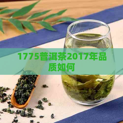 1775普洱茶2017年品质如何