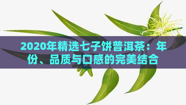 2020年精选七子饼普洱茶：年份、品质与口感的完美结合