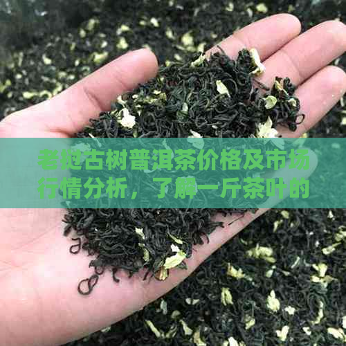 老挝古树普洱茶价格及市场行情分析，了解一斤茶叶的大致价格