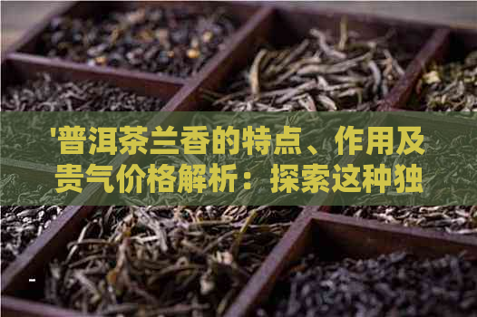 '普洱茶兰香的特点、作用及贵气价格解析：探索这种独特香型的魅力所在'