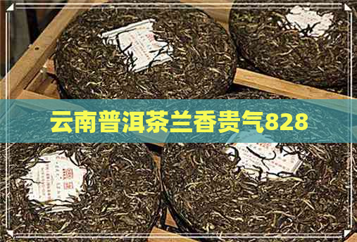 云南普洱茶兰香贵气828