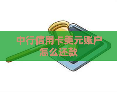 中行信用卡美元账户怎么还款