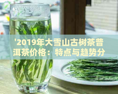 '2019年大雪山古树茶普洱茶价格：特点与趋势分析'