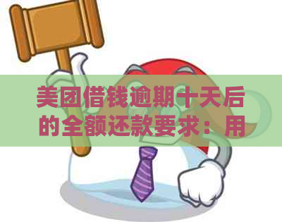 美团借钱逾期十天后的全额还款要求：用户常见问题解答