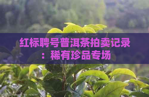 红标聘号普洱茶拍卖记录：稀有珍品专场