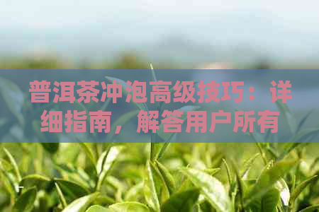 普洱茶冲泡高级技巧：详细指南，解答用户所有疑问