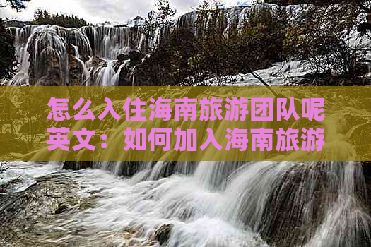 怎么入住海南旅游团队呢英文：如何加入海南旅游团英文翻译指南