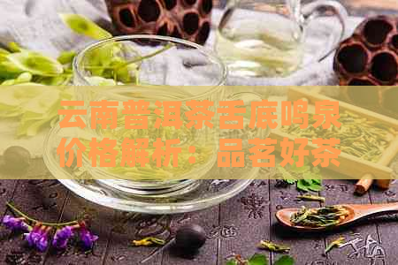 云南普洱茶舌底鸣泉价格解析：品茗好茶，了解最新行情