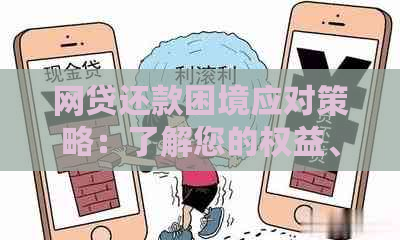 网贷还款困境应对策略：了解您的权益、寻求专业建议和探索新解决方案