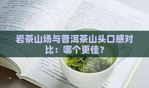 岩茶山场与普洱茶山头口感对比：哪个更佳？