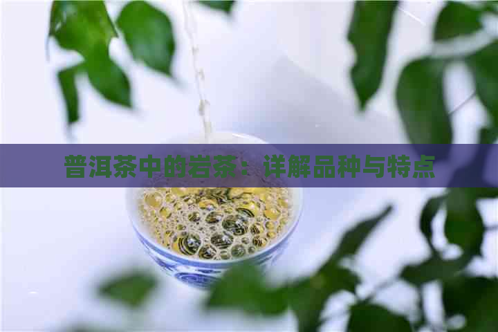 普洱茶中的岩茶：详解品种与特点