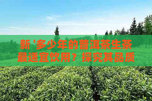 新 '多少年的普洱茶生茶最适宜饮用？探究其品质与口感的关键因素'