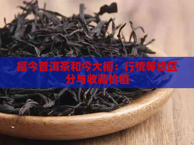 福今普洱茶和今大福：行情等级区分与收藏价值