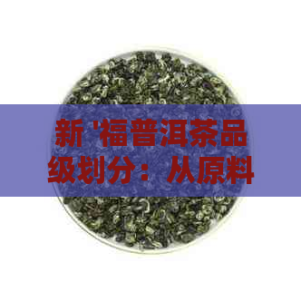 新 '福普洱茶品级划分：从原料到工艺的深度解析'