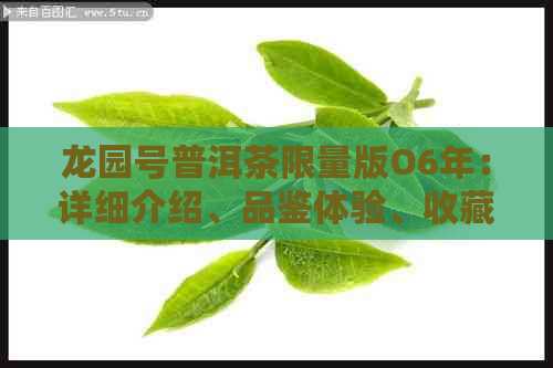 龙园号普洱茶限量版O6年：详细介绍、品鉴体验、收藏价值及适合饮用场合