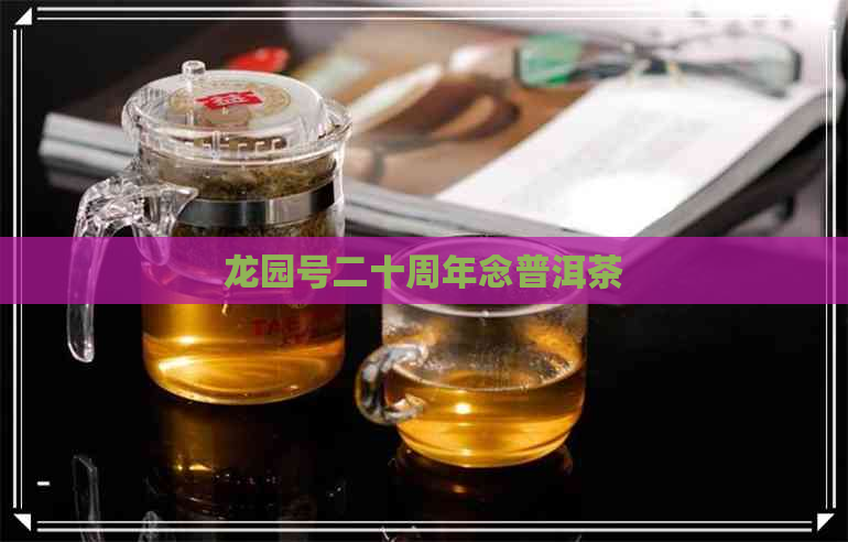 龙园号二十周年念普洱茶