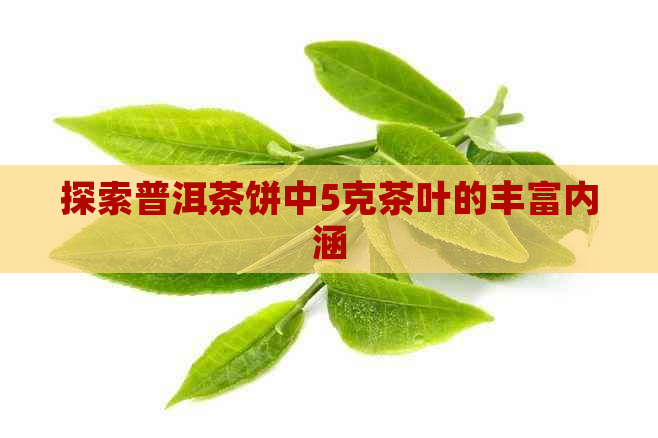 探索普洱茶饼中5克茶叶的丰富内涵