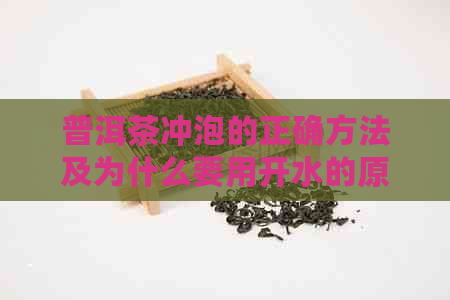 普洱茶冲泡的正确方法及为什么要用开水的原因解析