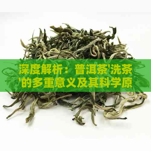 深度解析：普洱茶'洗茶'的多重意义及其科学原理