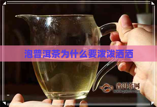 泡普洱茶为什么要泼泼洒洒