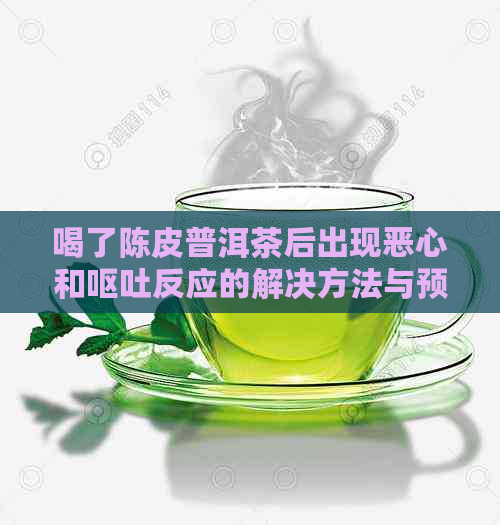 喝了陈皮普洱茶后出现恶心和呕吐反应的解决方法与预防措