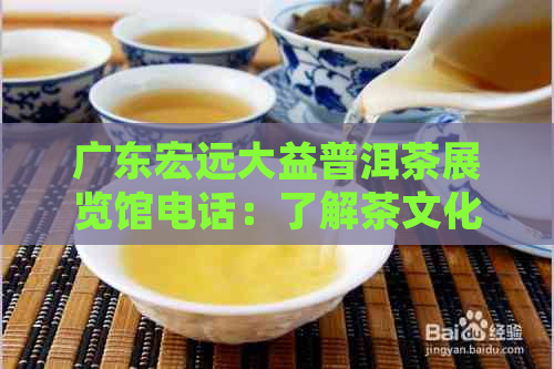 广东宏远大益普洱茶展览馆电话：了解茶文化，品味普洱魅力