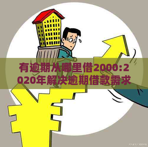 有逾期从哪里借2000:2020年解决逾期借款需求的途径