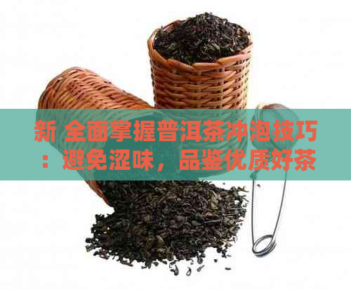 新 全面掌握普洱茶冲泡技巧：避免涩味，品鉴优质好茶