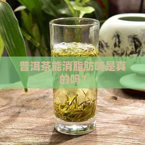 普洱茶能消脂肪吗是真的吗？