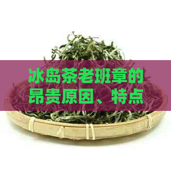 冰岛茶老班章的昂贵原因、特点及区别：揭示普洱茶中的冰岛与老班章