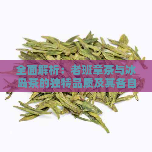 全面解析：老班章茶与冰岛茶的独特品质及其各自魅力