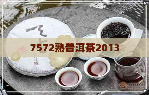 7572熟普洱茶2013