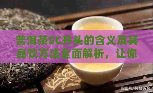 普洱茶SC开头的含义及其品饮方法全面解析，让你轻松掌握普洱茶知识