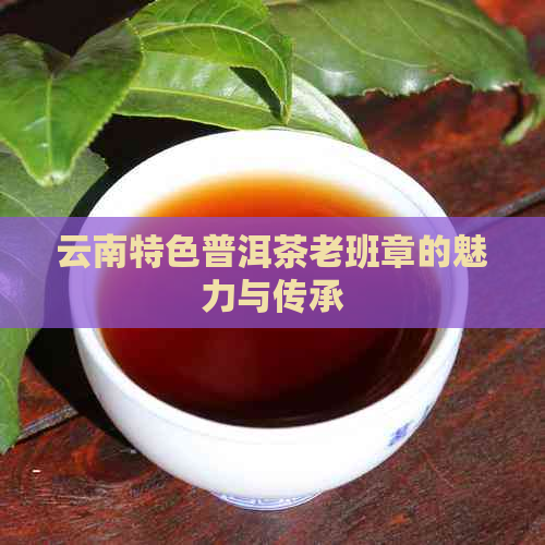 云南特色普洱茶老班章的魅力与传承