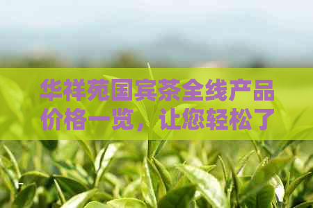 华祥苑国宾茶全线产品价格一览，让您轻松了解各类茶叶的价格信息