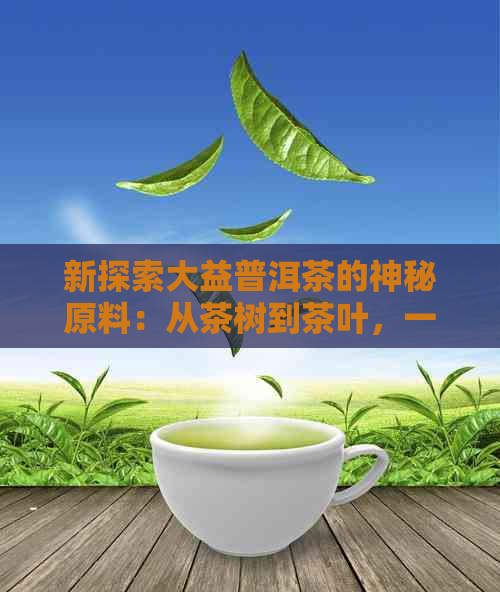 新探索大益普洱茶的神秘原料：从茶树到茶叶，一场视觉与味觉的宴