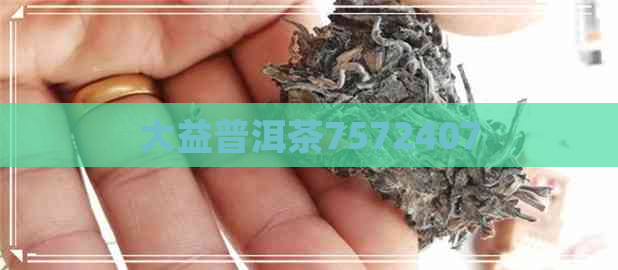 大益普洱茶7572407