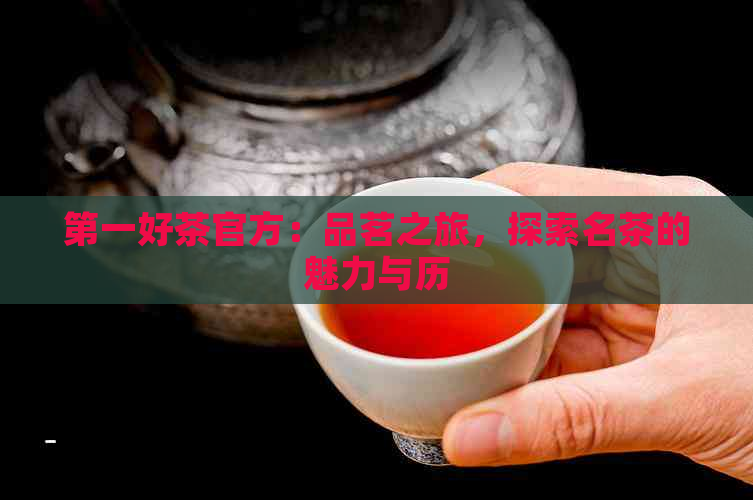 之一好茶官方：品茗之旅，探索名茶的魅力与历