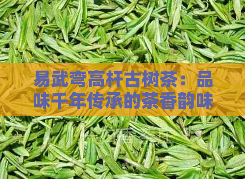 易武弯高杆古树茶：品味千年传承的茶香韵味