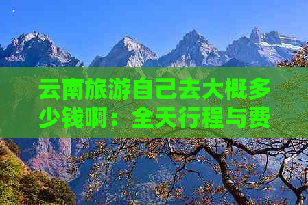 云南旅游自己去大概多少钱啊：全天行程与费用详解