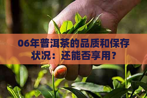 06年普洱茶的品质和保存状况：还能否享用？