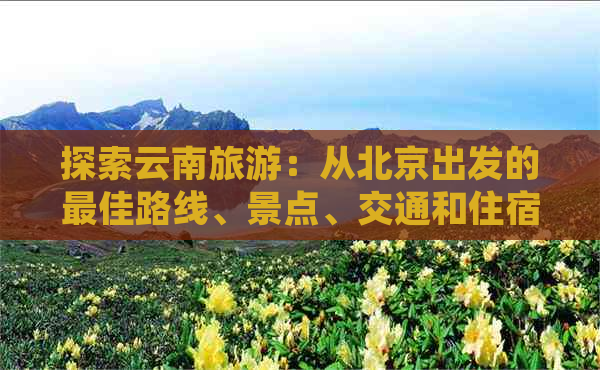 探索云南旅游：从北京出发的更佳路线、景点、交通和住宿建议