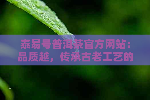 泰易号普洱茶官方网站：品质越，传承古老工艺的现代