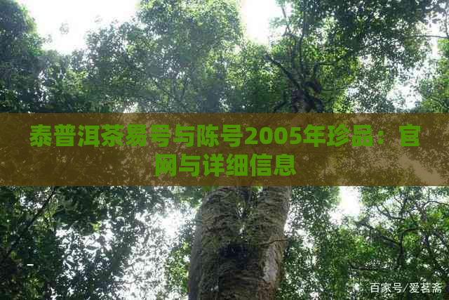 泰普洱茶易号与陈号2005年珍品：官网与详细信息