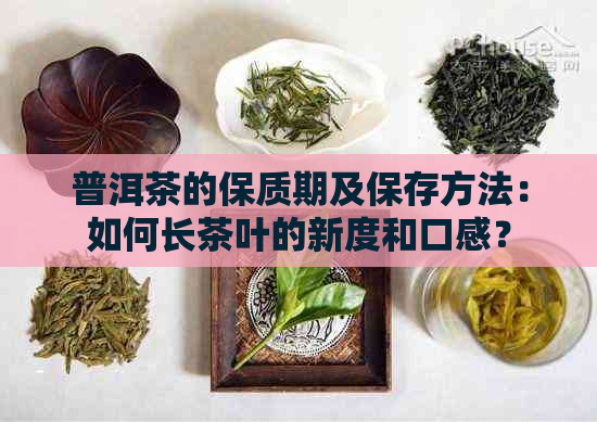 普洱茶的保质期及保存方法：如何长茶叶的新度和口感？